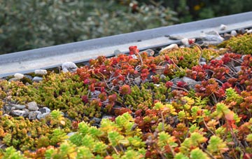 the cost of The Chequer green roof installation