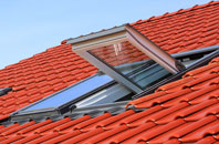 The Chequer roof window